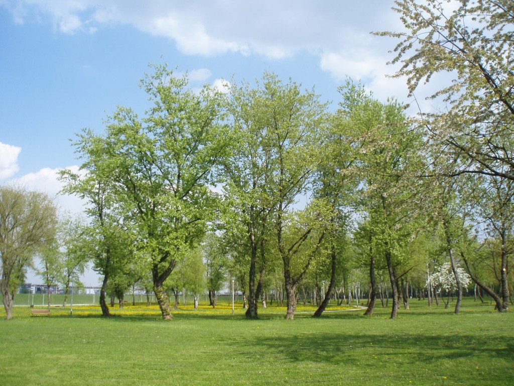 park-lake-bundek-2343be9cada8986a1f8b1d6