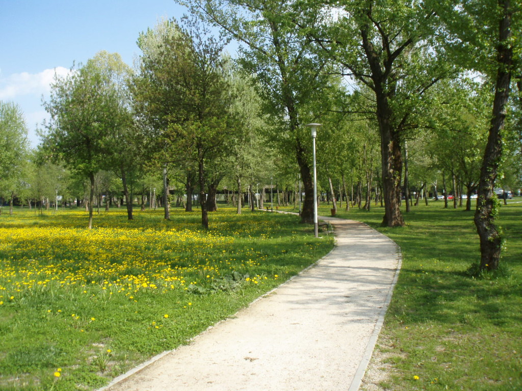 park-lake-bundek-a2ca5d9aab62ef735c29635